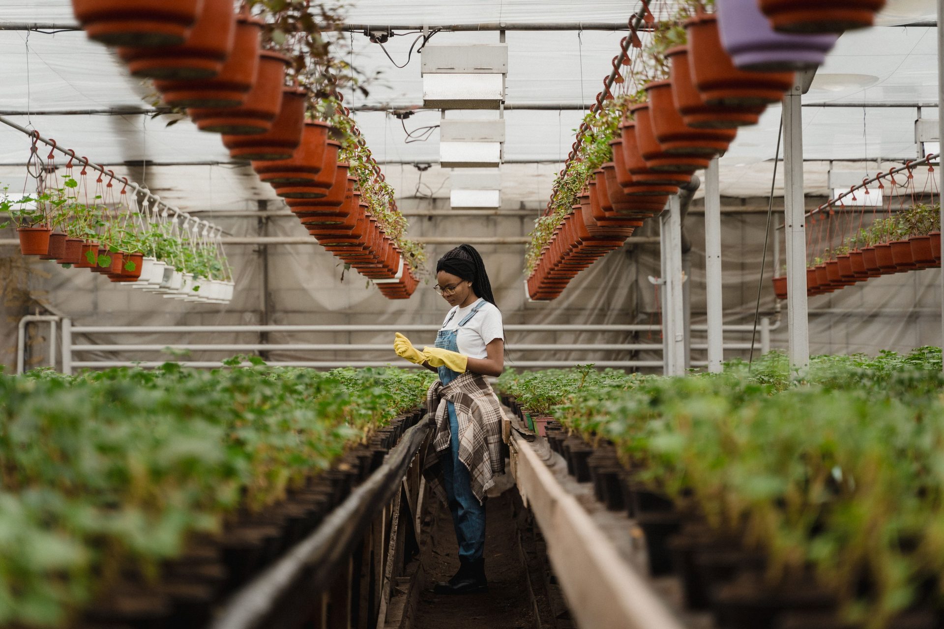 Gear and know-how for cleaner hydroponic growing